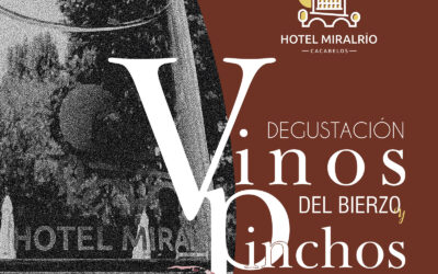 Degustación de vinos del Bierzo