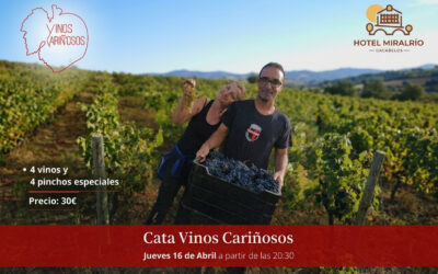 Cata: Vinos Cariñosos