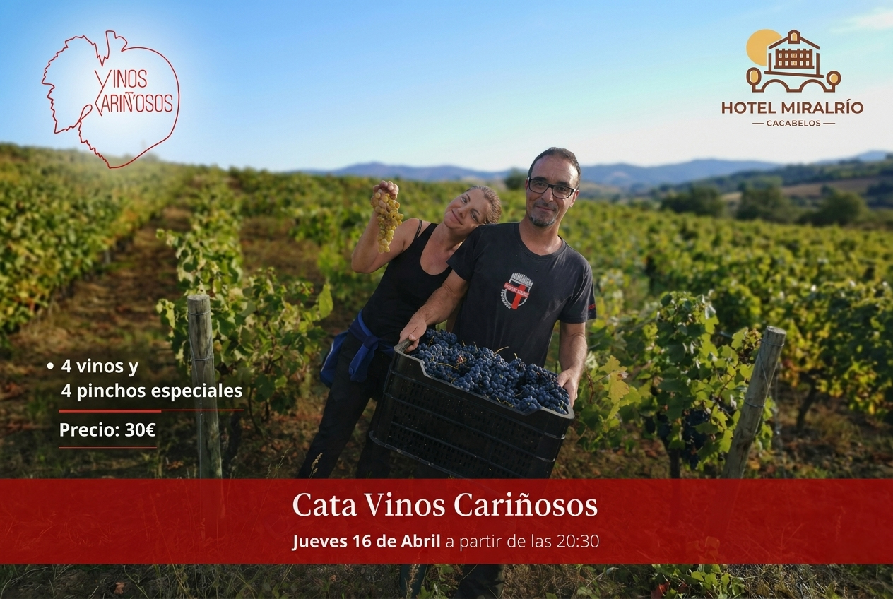 vinos cariñosos